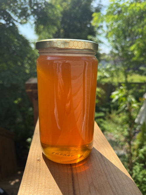 1 Kg - Fresh and raw meadow honey