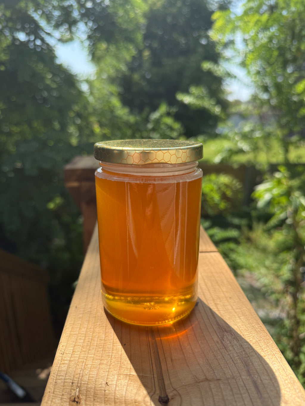 500g - Fresh and raw meadow honey
