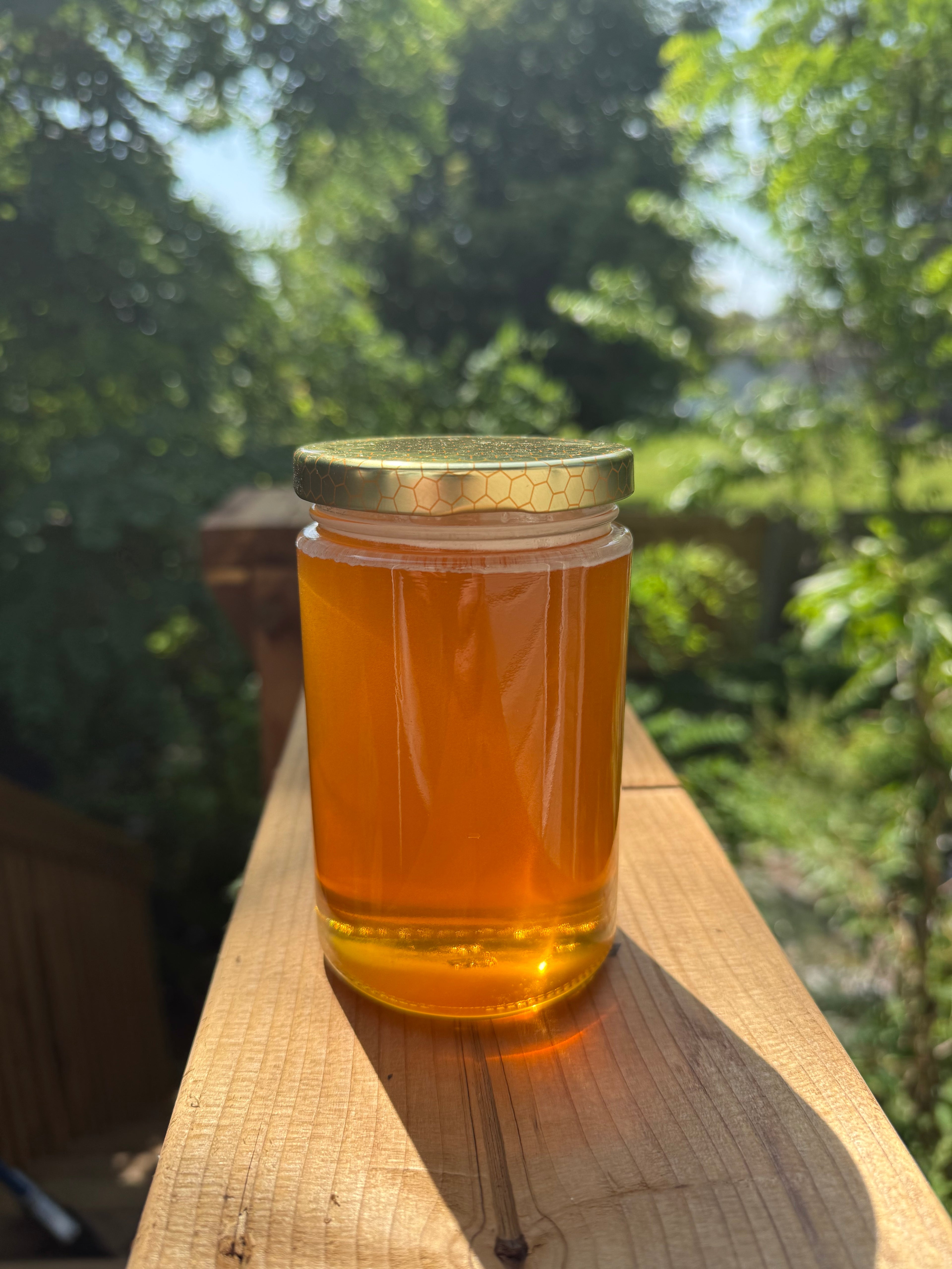 500g - Fresh and raw meadow honey